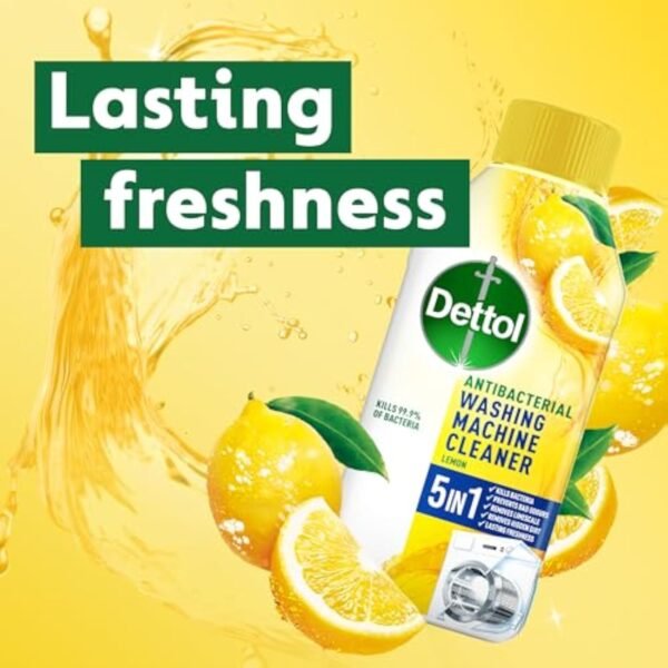 Dettol Antibacterial Washing Machine Cleaner Citrus 250ml