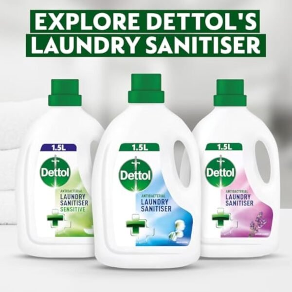Dettol Antibacterial Washing Machine Cleaner Citrus 250ml